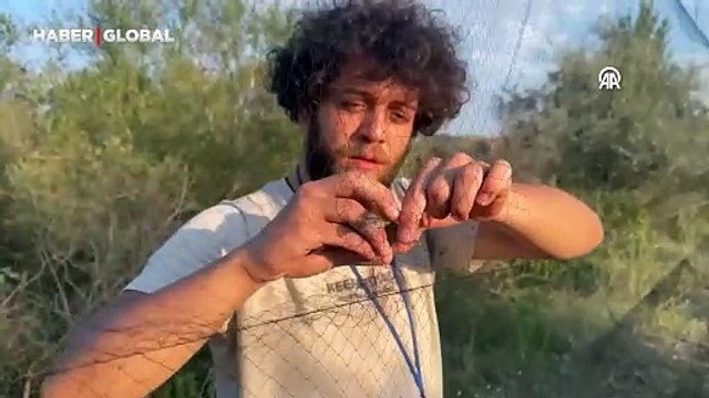 Aras Kuş Cenneti'nde 2 haftada 1100 kuşa halka takıldı