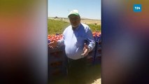 “Çıldırıyorum” diyen Konyalı çiftçi: Ben koyu Ak Partiliyim, Allah benim belamı versin! Muhalefet de muhalif değil, aynı Anamur yolları gibi!