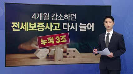 4개월 감소하던 전세보증사고 다시 늘어...누적 3조 원 '훌쩍' [앵커리포트] / YTN