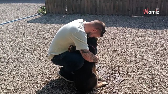 Shelter dog chooses her adopter and wins his heart in just 5 minutes