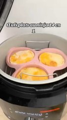 Des œufs au plat avec le ninja 14 en 1 ?