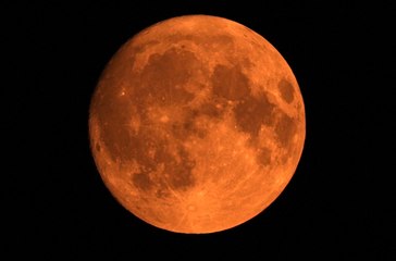 Rare orange moon captured over Worthing