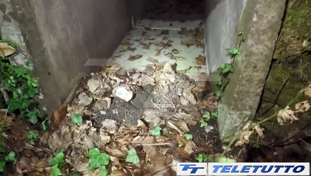 Video News - Idro: due nuovi passaggi per i Bufo Bufo