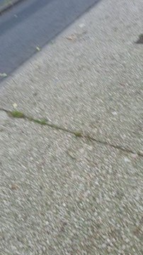 fresque au trois ponts roubaix 59100