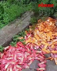 पोषण आहारात दिल्या जाणाऱ्या मिलेटबार चॉकलेट चक्क उघड्यावर