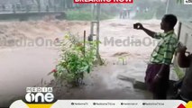 ശക്തമായ മഴ; പാലക്കാട് കാഞ്ഞിരപ്പുഴ മേഖലയിൽ കരകവിഞ്ഞൊഴുകി പുഴകൾ