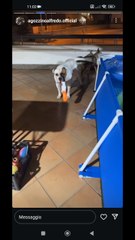 giochiamo alle 4 di mattino