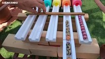 Marble Run Race ASMR Colorful Pop Tubes