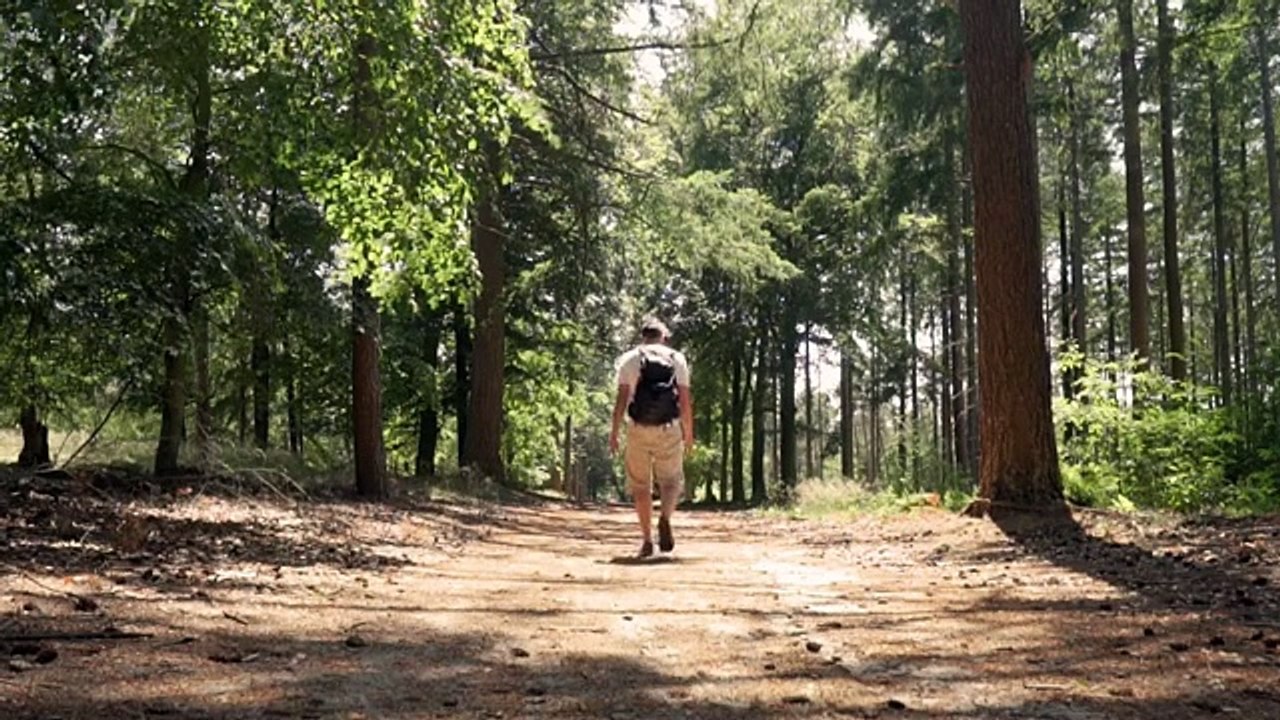 Top 20 Health Stock Footages - Health Free Stock Videos -