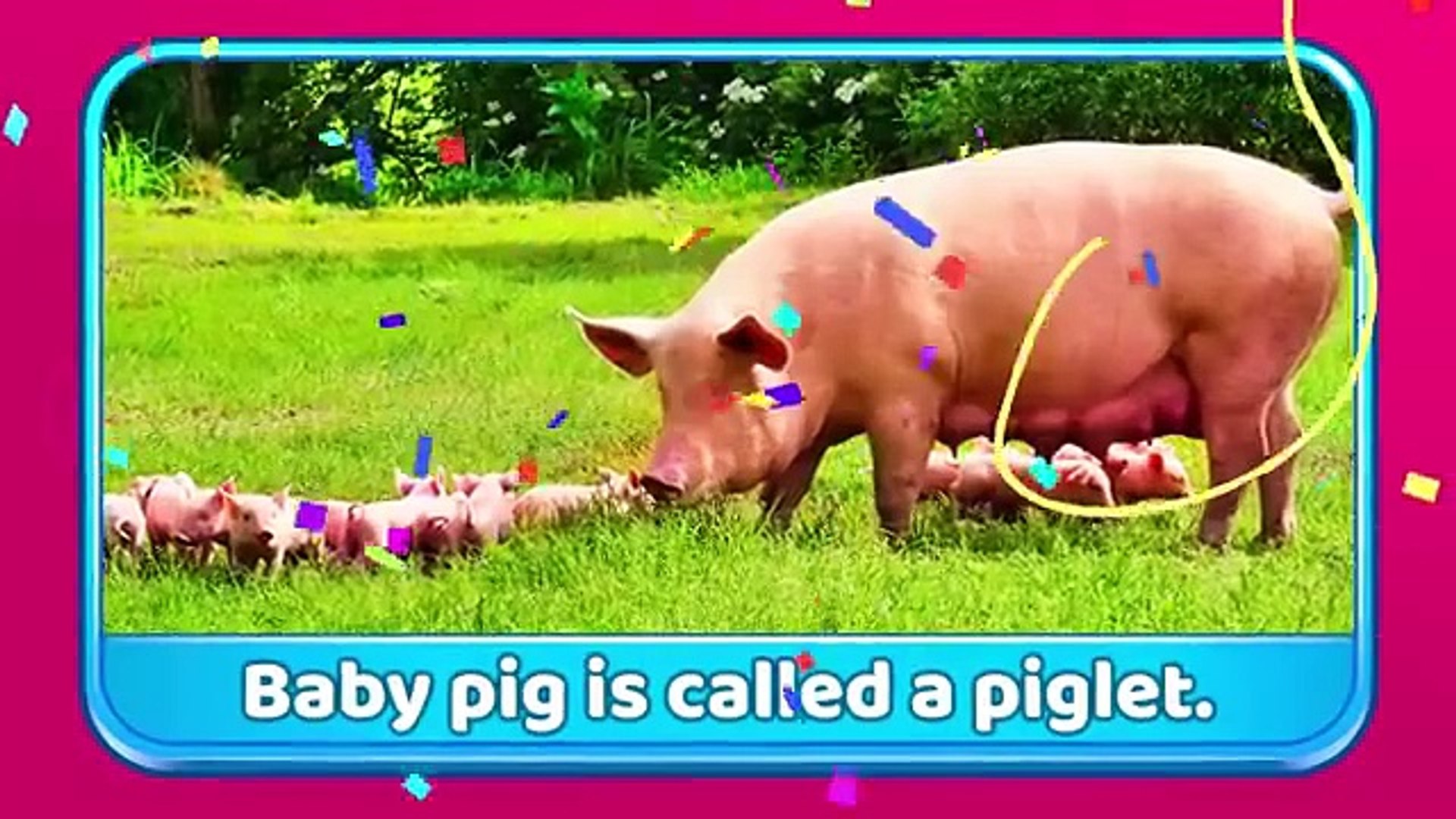 Animal Names for Kids _ Animals Sounds & Baby Names _ Educational Videos For Kids