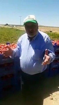 “Çıldırıyorum” diyen Konyalı çiftçi: Ben koyu Ak Partiliyim, Allah benim belamı versin!