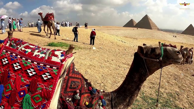 Rundreise in Ägypten Kairo,Nilkreuzfahrt und Hurghada in einem paket