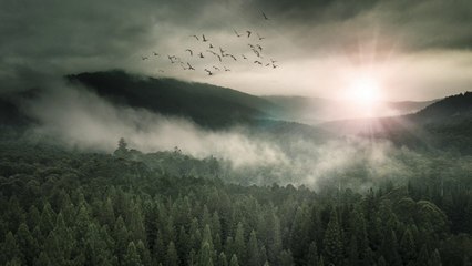 Tuna Nehri (Plevne Marşı) | Enstrümantal Fon Müziği