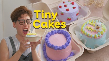 Japanese Style Bento Mini Tiny Lunch Box Cakes