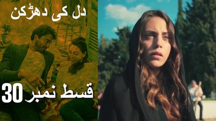 دل کی دھڑکن   Heart Beat - Episode 30