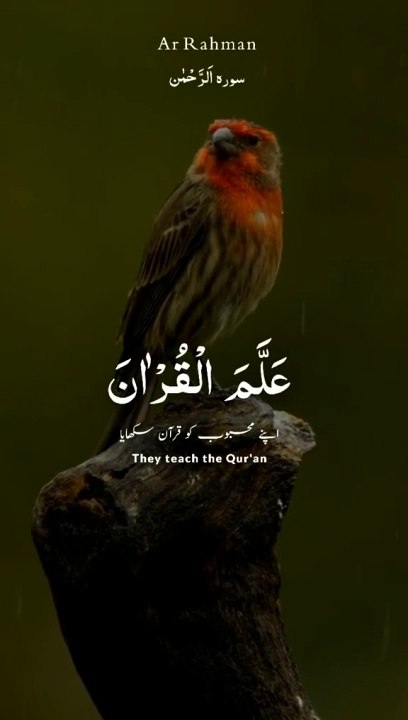 Surah rehman