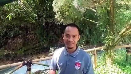 Ultimate Guide to Off-Road Car Camping in Indonesia 🚙