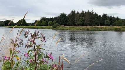 Banff - Golf Course and River Deveron 6