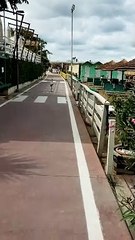 Il fenicottero continua a dare spettacolo. Questa volta sulla ciclabile Sottomonte