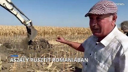 Egy csepp víz sincs a román földekben, pusztul a termés