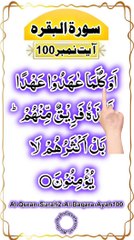 Al-Quran - Surah 2 - Al-Baqara - Ayah 100 | hafiz salman ali