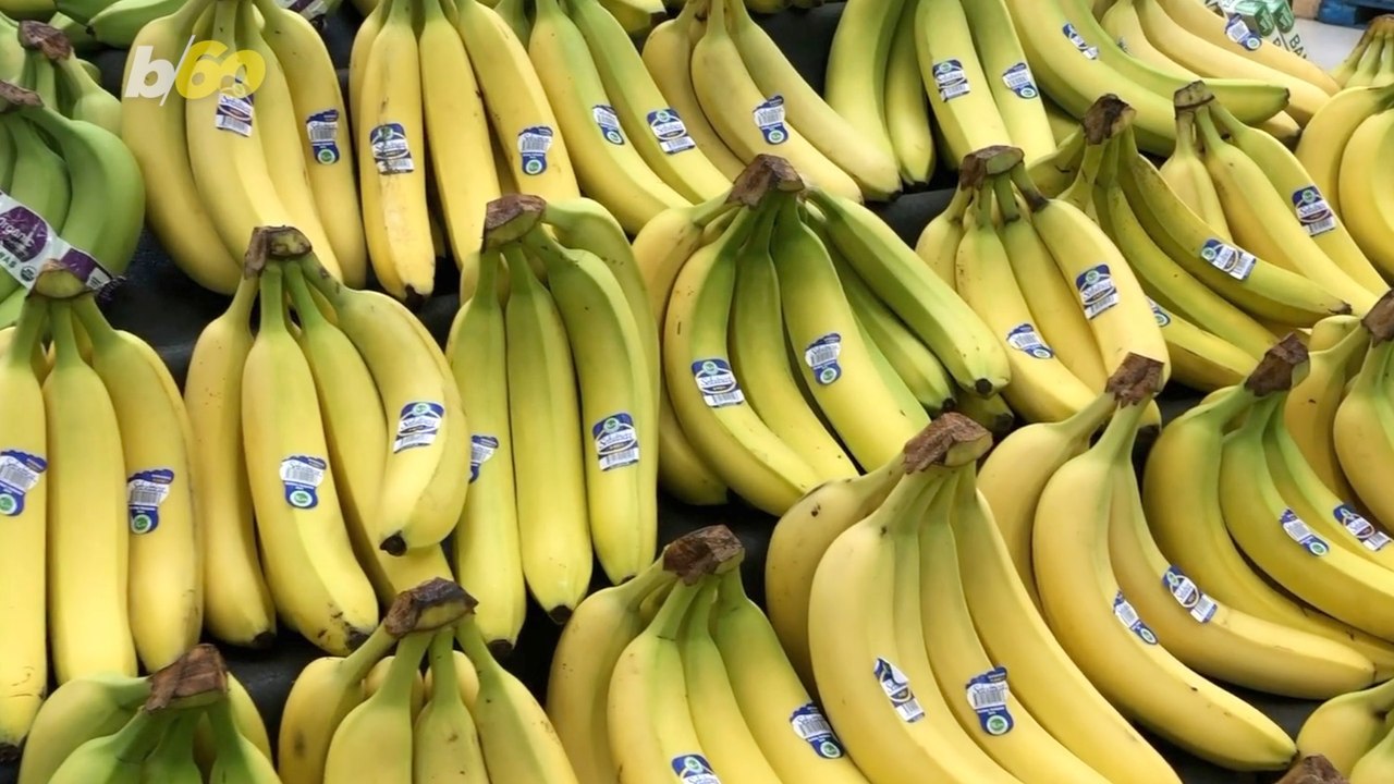 Scientific Breakthrough Could Save The Banana From Extinction