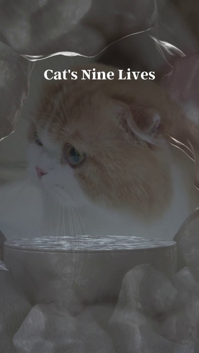 Surprising Animal Facts That Will Leave You Smiling!