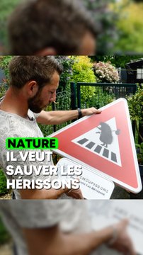 Jérémy crée des panneaux routiers pour sauver les hérissons