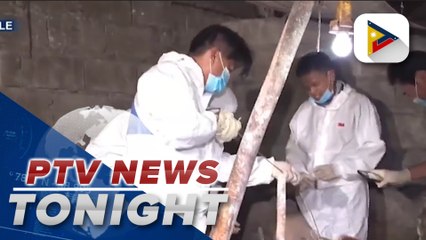 D.A. to start mass testing for ASF on Aug. 20