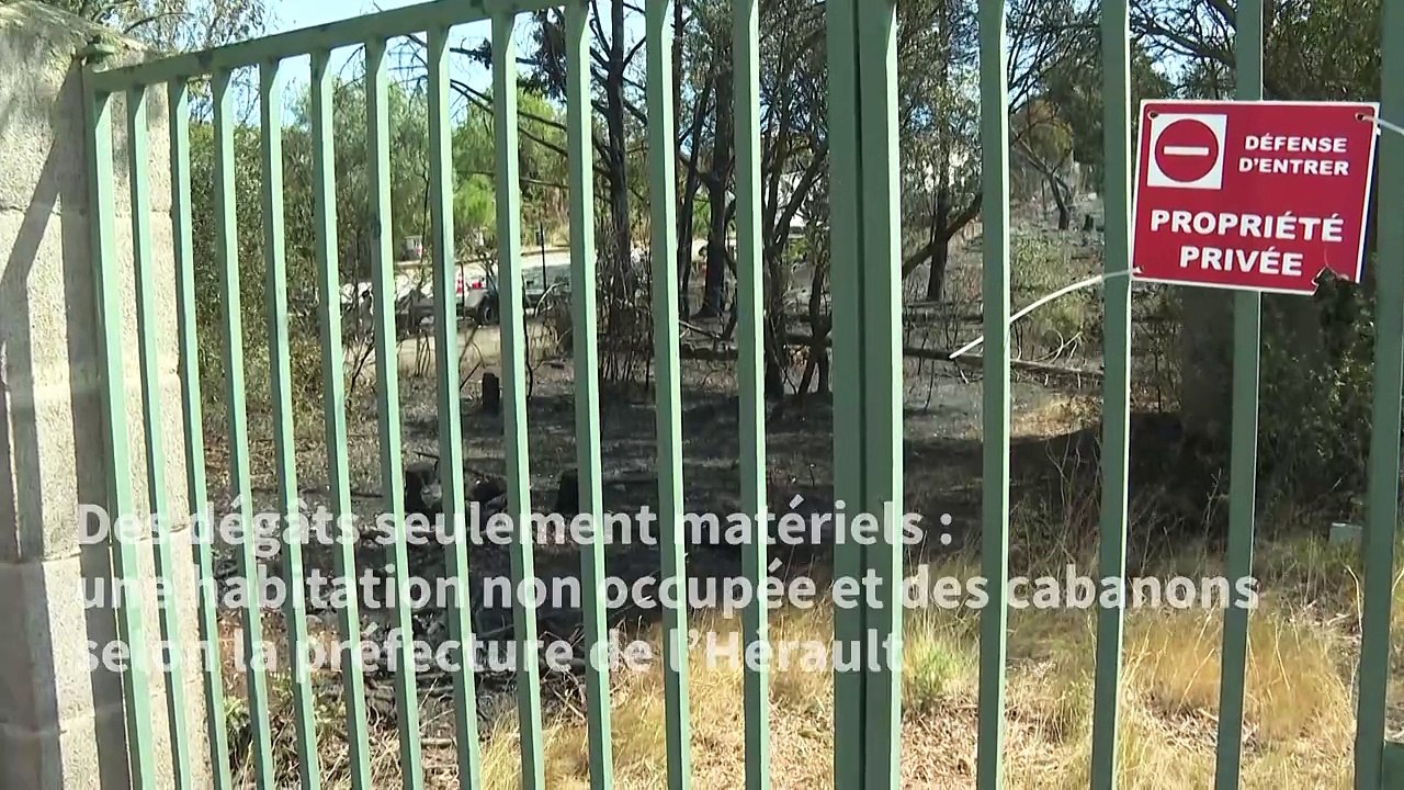 Occitanie: feux maîtrisés dans l'Hérault et les Pyrénées-Orientales