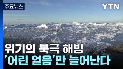 [지구의맥박] '어린 얼음'만 늘어난다...위기의 북극 해빙 / YTN