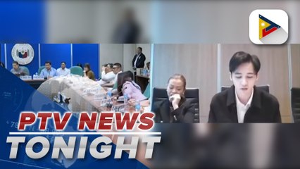 Sandro Muhlach faces Senate panel virtually