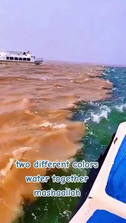 8a9f682f50344712a65905e5824859d5