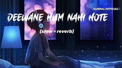 Deewane Hum Nahi Hote Lofi song