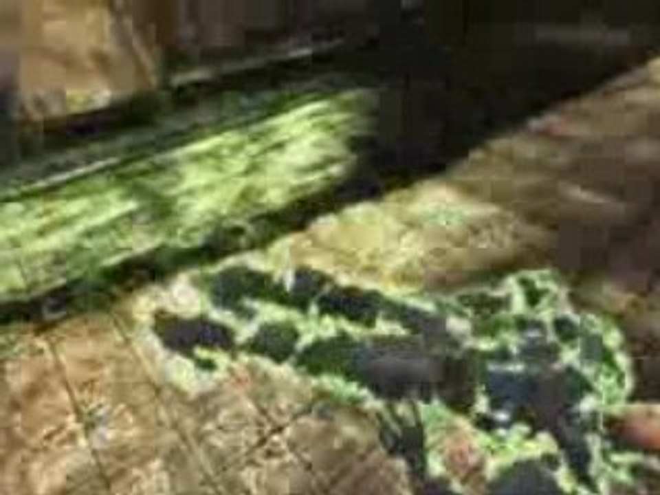 Unreal Tournament 3 - Trailer Gamer's Day - Xbox360