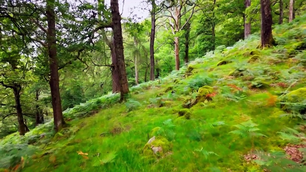 Countryfile - Borrowdale