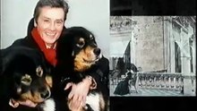 Alain Delon - Amour des chiens
