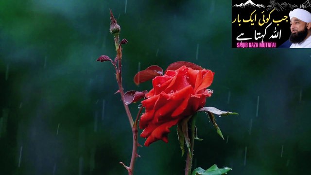 Jab Koi Aik Bar Allah Kehte hai || Saqib Raza Mustafai || Rula Dene Wala Bayan