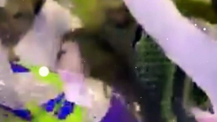 Dil Jendey Naal Lai Wadey Hay _ New song _ latest song | saraiki song  | Mehak Malik _ Dance