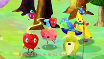 Fruit Song (Vitamin Quest) | CoComelon Nursery Rhymes & Kids Songs