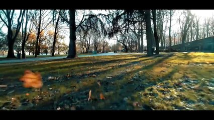 EFA ELA      ALOMA   HARY