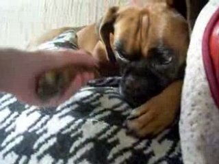 pacte entre CHITA (adoptée il ya 2 ans) et SA FAMILLE