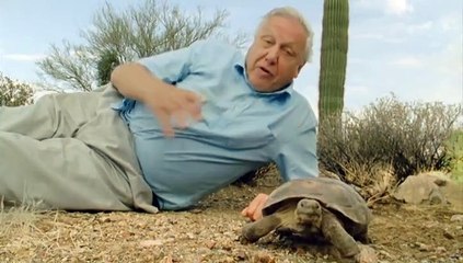 BBC Life in Cold Blood E05 Armoured Giants