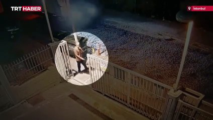 Başıboş köpeklerin saldırısına uğrayan kişi hayatını kaybetti