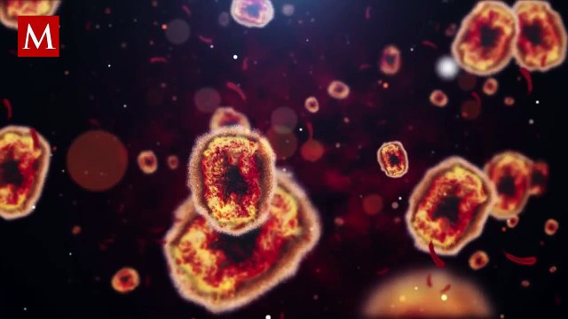 Esta es la razón por la que el Mpox es una enfermedad zoonótica; te contamos cómo apareció