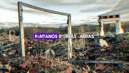 O Mundo Sem Nós: O Futuro da Terra Sem os Humanos" #PlanetaLivre #NaturezaRevive #FimdaEraHumana #AposHumanos #TerraSemNós