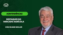 Soja e milho têm boa recuperação em Chicago, mas dólar recua e não ajuda preços internos