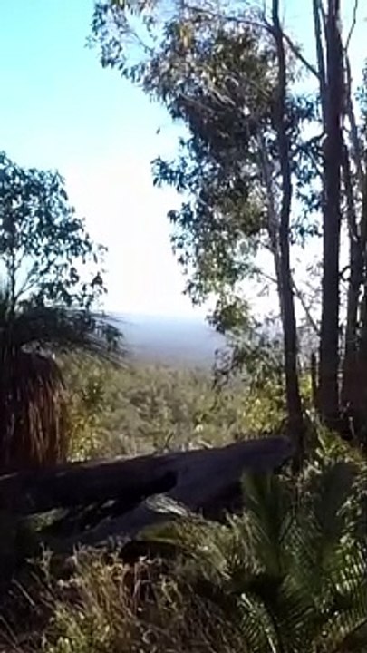 Cal To Col Fourteen