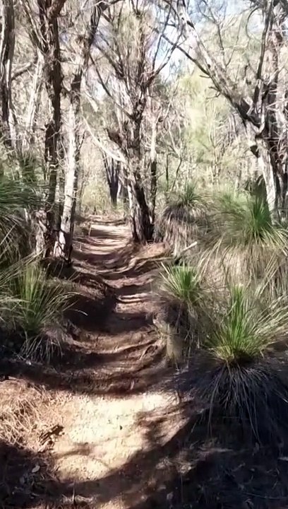 Cal To Col Four