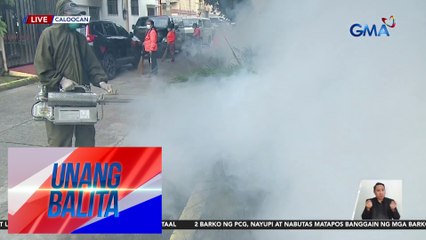 Descargar video: Dengue outbreak sa bansa, balak nang ideklara ng DOH | Unang Balita